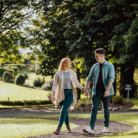 Millbrook Lodge Hotel Ballynahinch Buitenkant foto